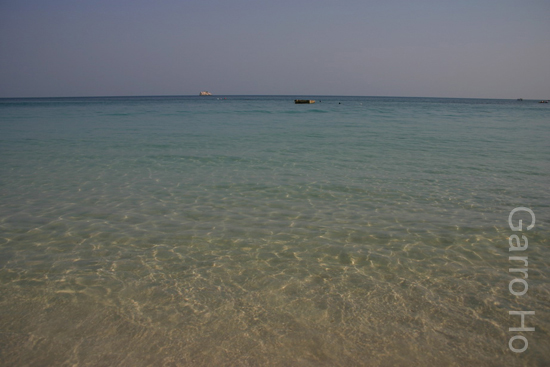 176IMG_8591